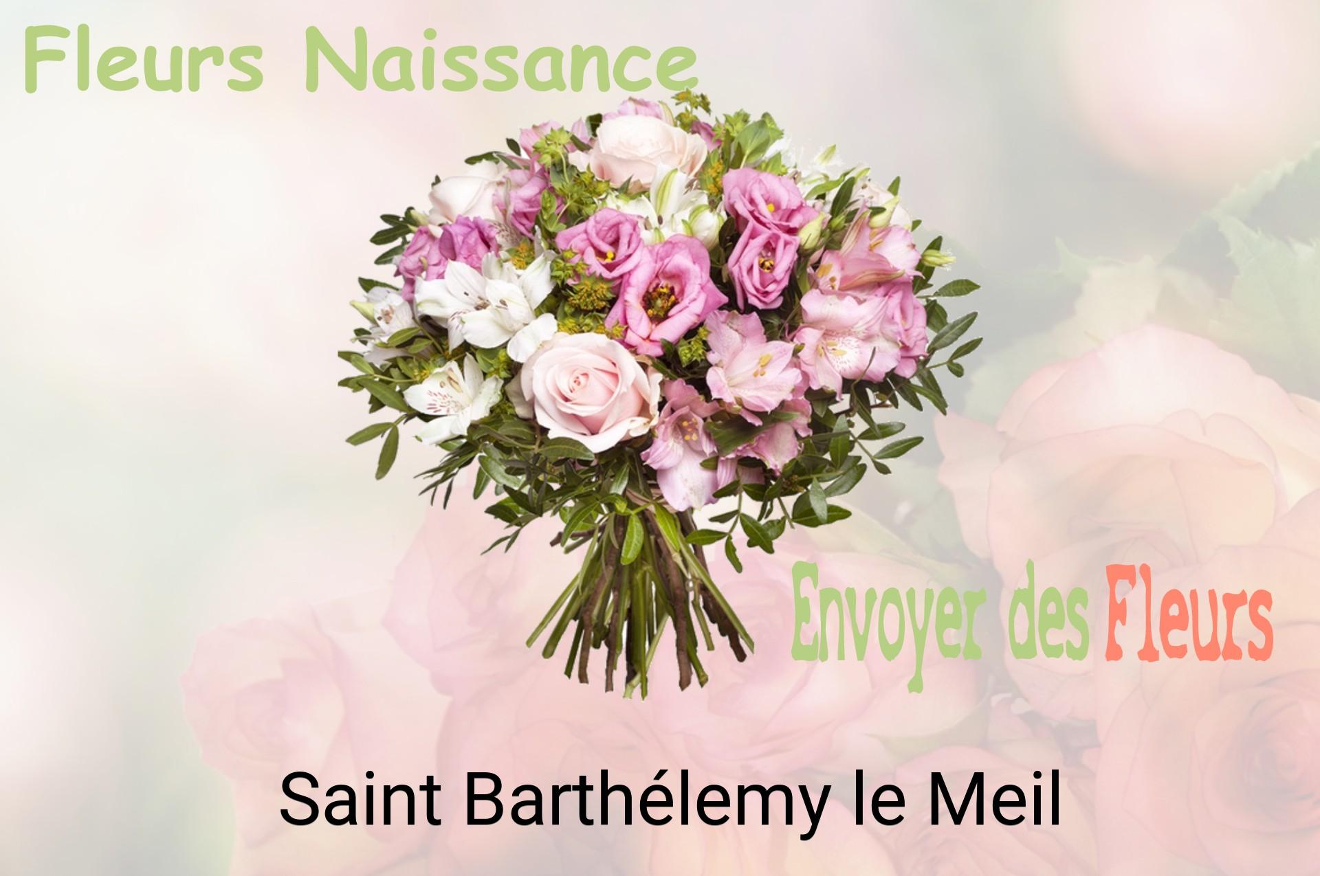 Bouquet de fleurs de naissance livré à Saint-Barthélemy-le-Meil