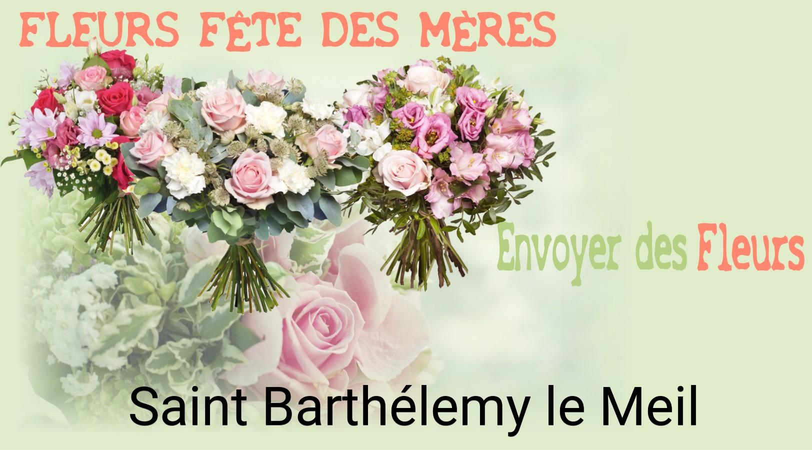 Bouquet de Fête des Mères livré à Saint-Barthélemy-le-Meil